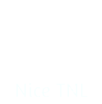 Logo Carrefour TNL Nice