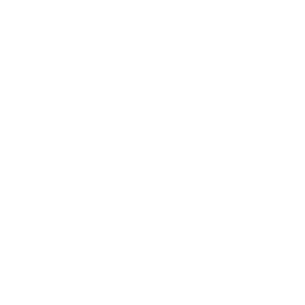 Logo Ruhl Place Nice